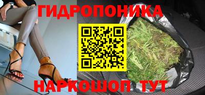 дурь Новодвинск