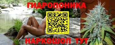 дурь Новодвинск